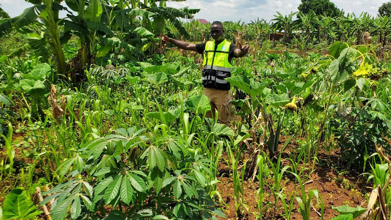 #TABARA DORE IMALI  USHAKA AHO GUTERA #URUTOKI ,HAFI NA KABURIMBO, UMURIRO, AMAZI NI MUMITURIRE🚘🏃‍♂️
