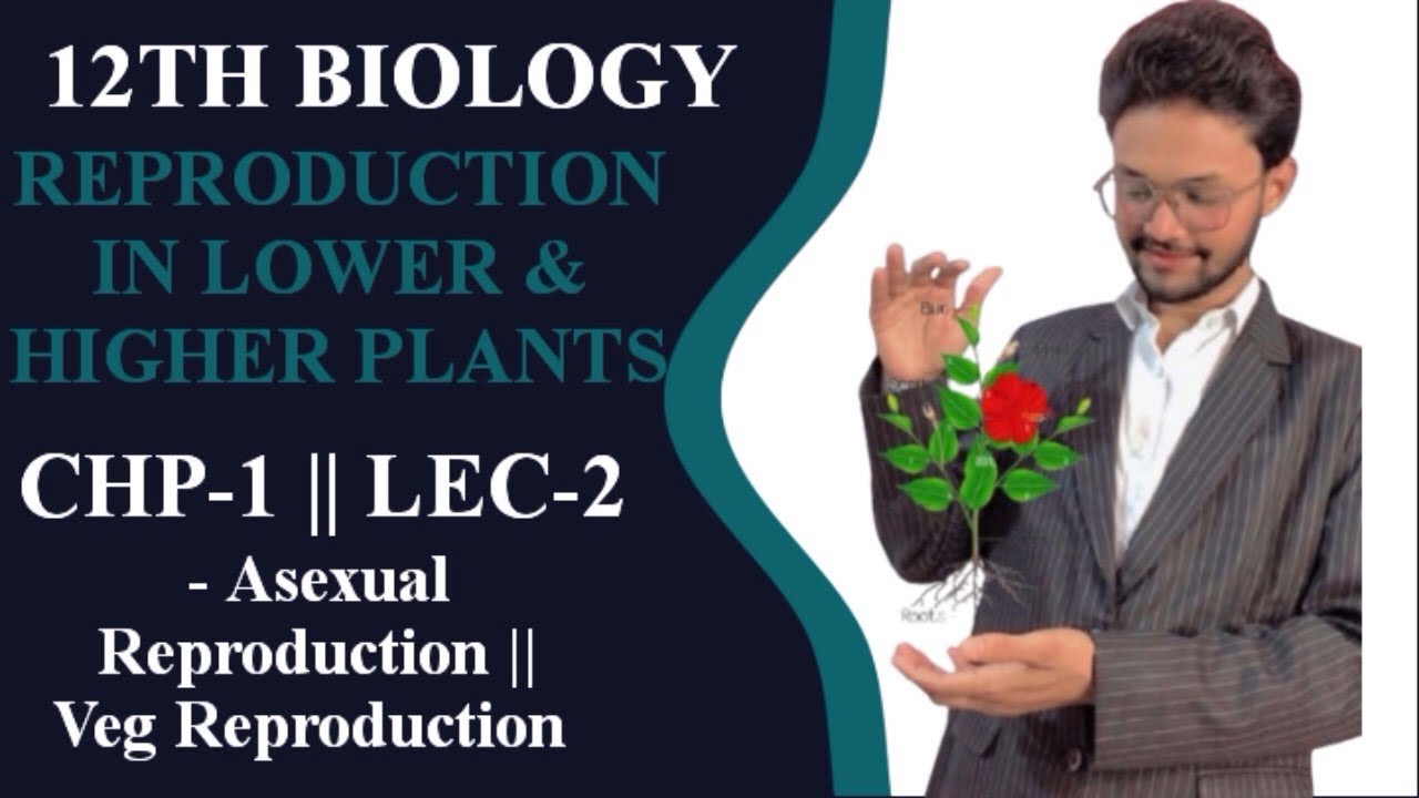 12TH BIOLOGY || REPRODUCTION IN LOWER & HIGHER PLANTS || CHP-1 || LEC-2 || MAHARASHTRA BOARD 