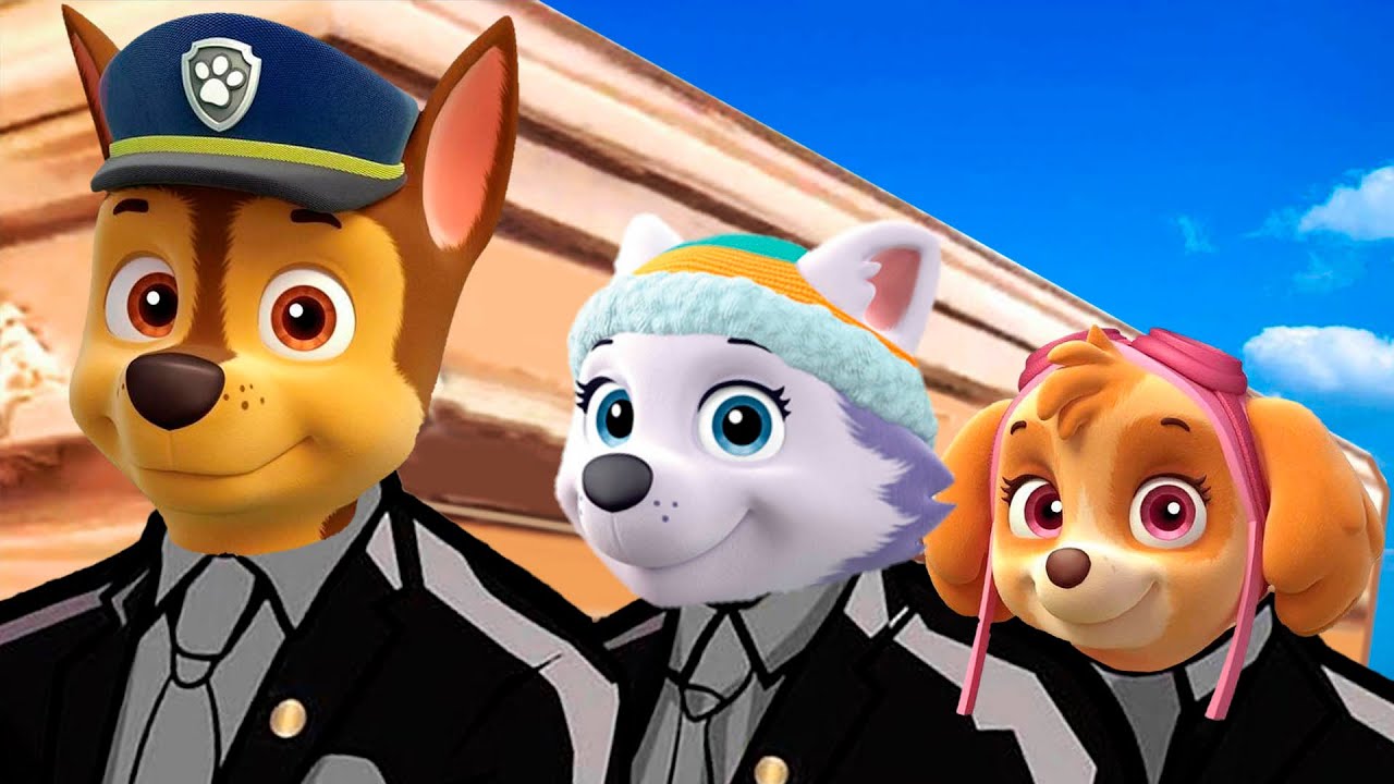 Paw Patrol - Coffin Dance Song [COVER]