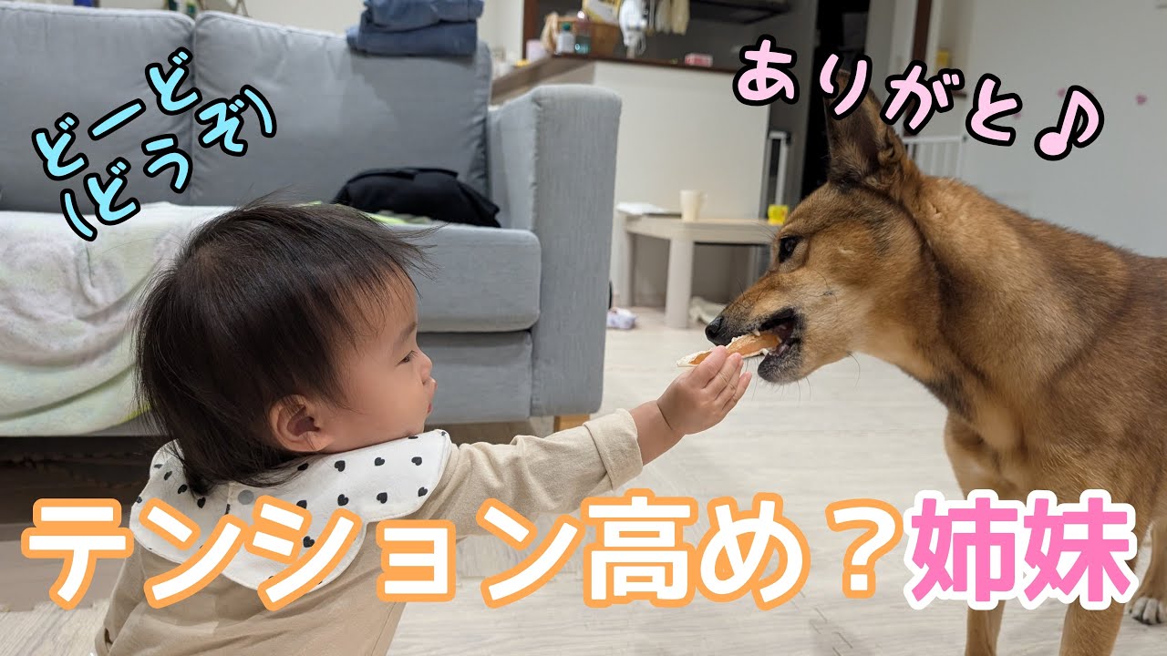 テンション高めの姉妹の日常