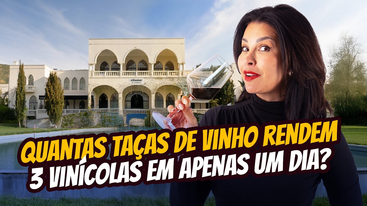 Conhe&ccedil;a o Rota do Vinho no Valle Casablanca | Tour Wine Day Completo