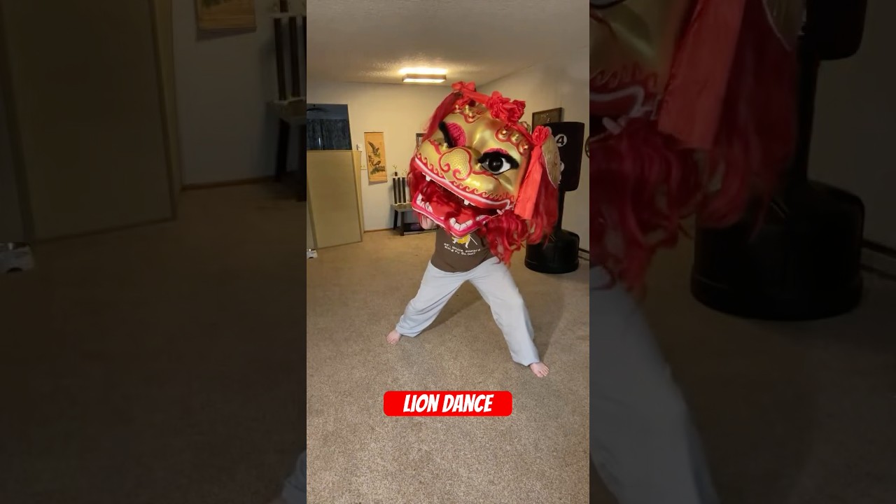 Practicing the rare Northern Lion dance! #liondance