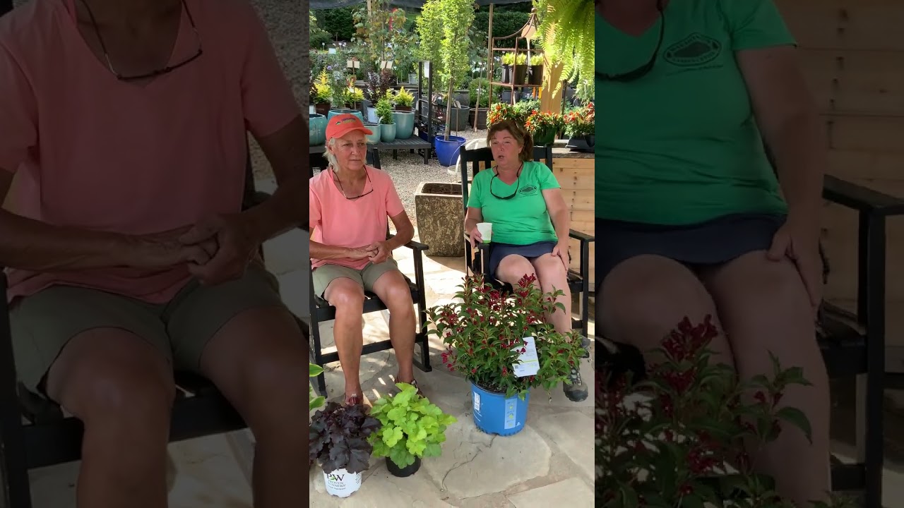 The Shady Ladies w/ a surprise ending!