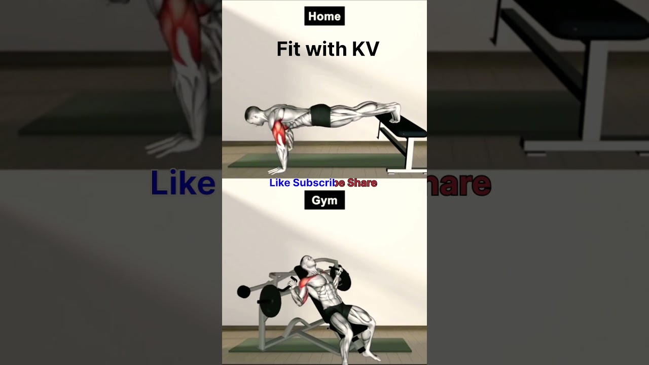 Full Body workout