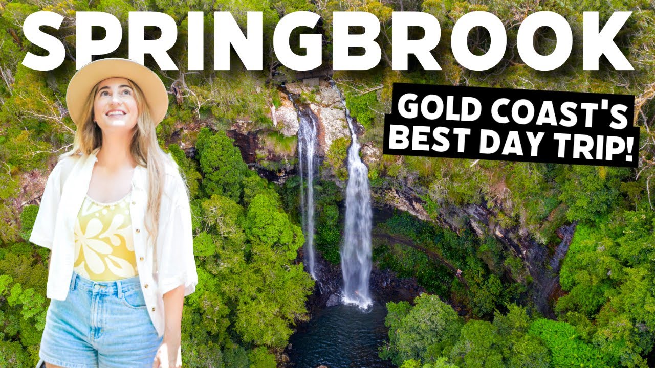 GOLD COAST'S BEST DAY TRIP! Springbrook National Park Highlights | Australia
