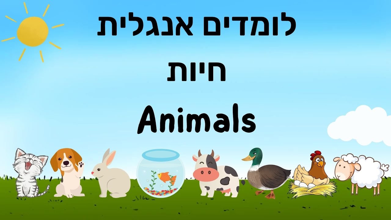 לומדים אוצר מילים אנגלית ללמוד אונליין לילדים - מילים ראשונות באנגלית חיות