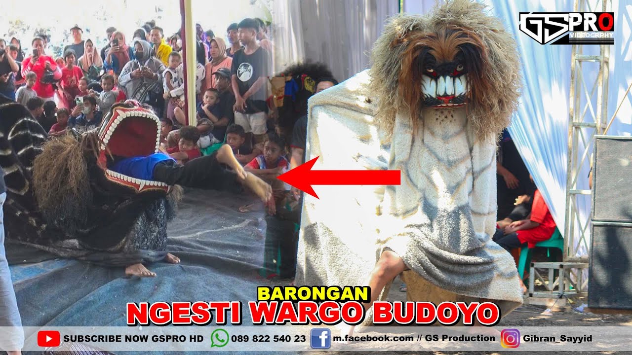 barongan ngesti wargo budoyo live gringsing