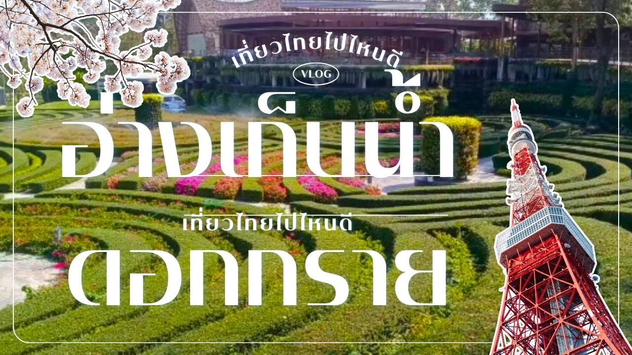 สวนดอกไม้ อ่างเก็บน้ำดอกกราย บานสะพรั่ง! ถ่ายรูปมูสดี ฟรีทั้งวัน 2569  ที่เที่ยวลับที่ต้องไป! EP.16