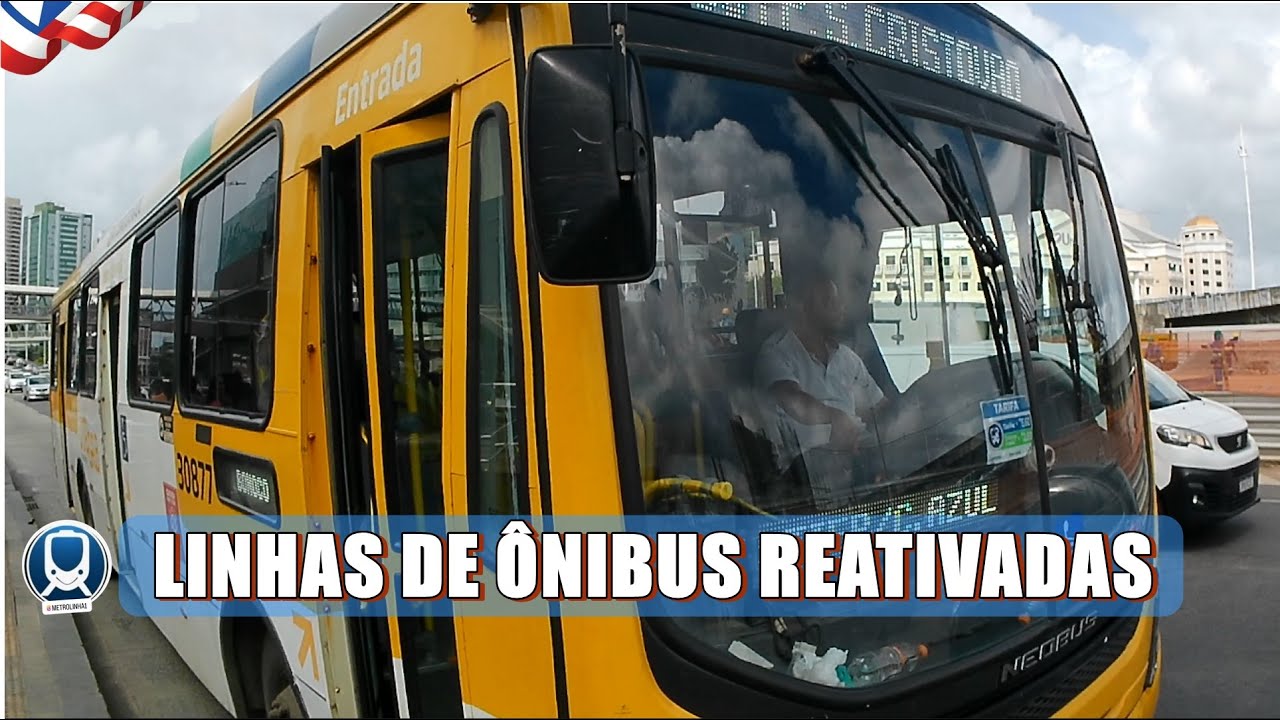 LINHAS DE ÔNIBUS DE SALVADOR SÃO REATIVADAS, veja
