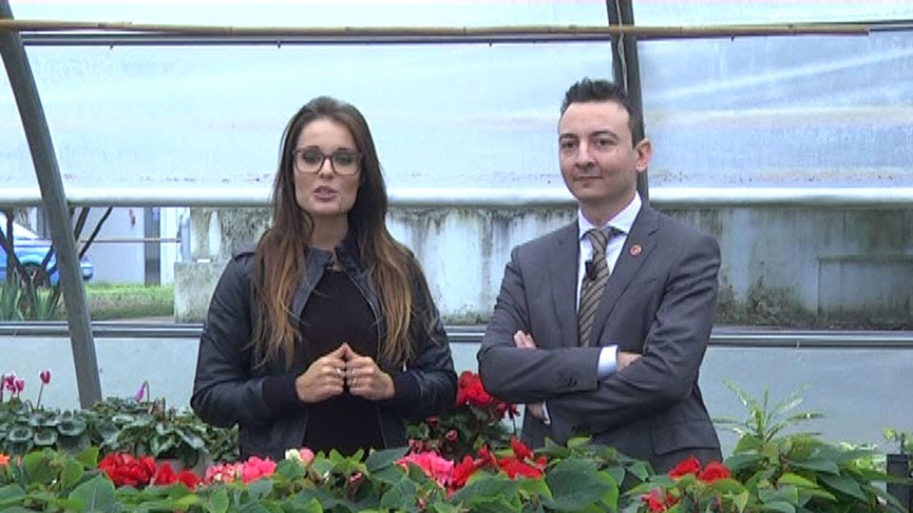 Presentazione Istituto Professionale Giuseppe Medici AS 2013-2014