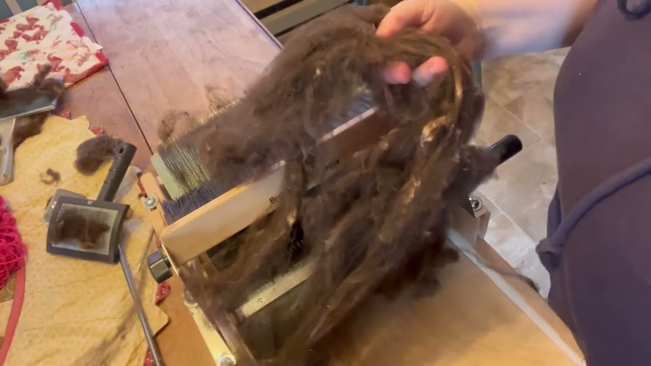 From Fleece to Yarn pt 3