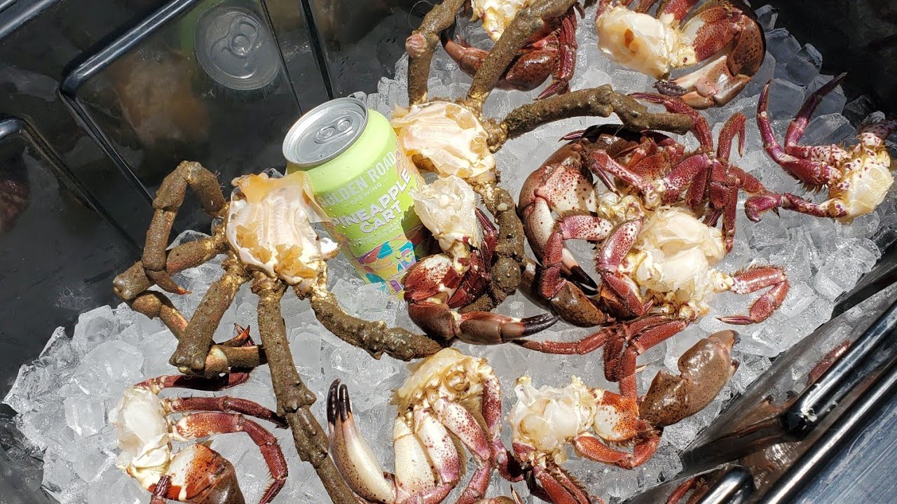 EASIEST Catch ever | Catch & Cook Rock Crab