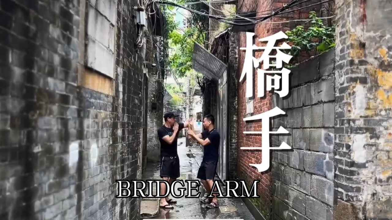 詠春拳究竟硬不硬？结构功夫：桥手  Hard or Soft? Deconstructing Wing Chun: The Bridge Arm