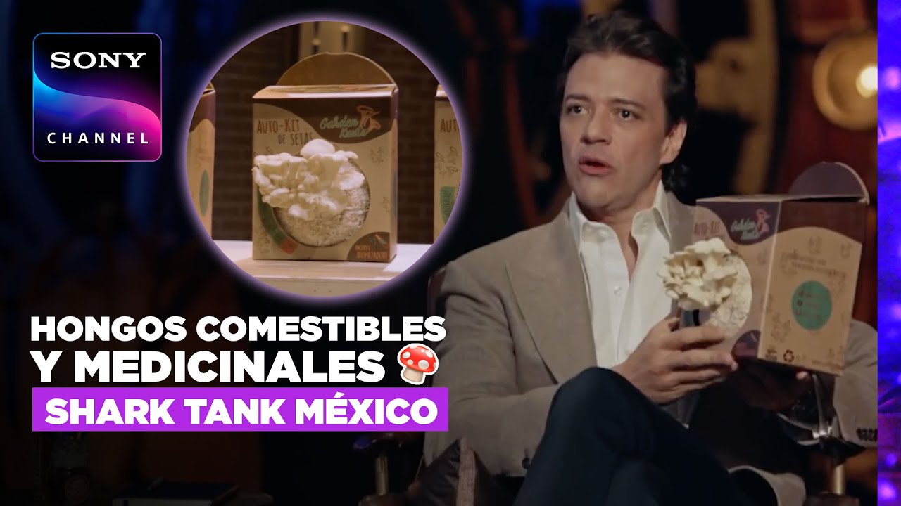Shark Tank México: Garden Kuuts, hongos comestibles y más | Sony Channel