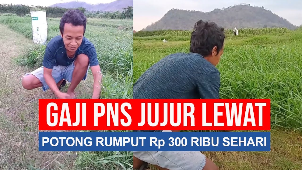 PAKAR NGARITMATIKA SEJATI DARI BLITAR, 5 TAHUN BERTANI TIDAK PERNAH RUGI