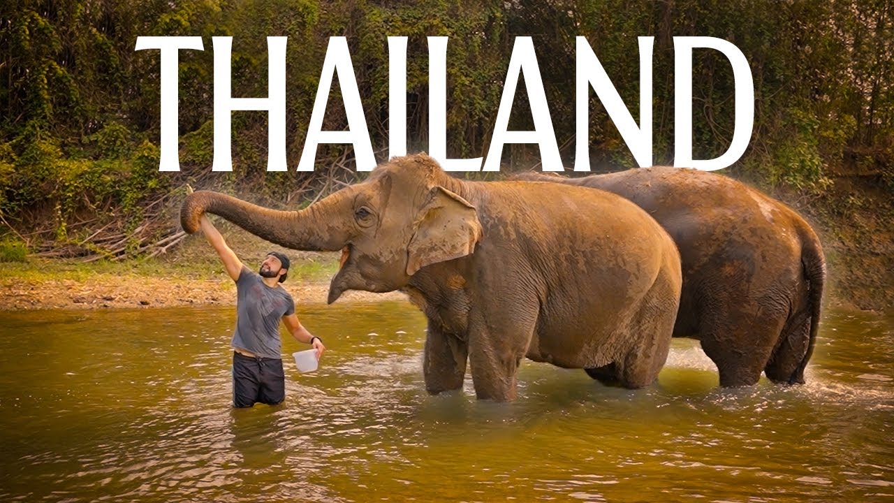 45 дней по Таиланду | Короткометражный фильм