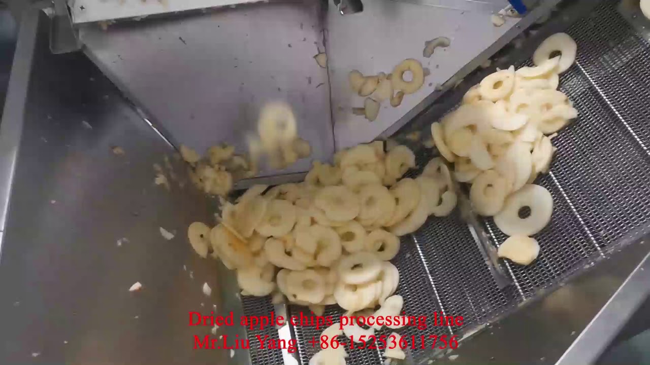 Dried apple chips processing line 20201228