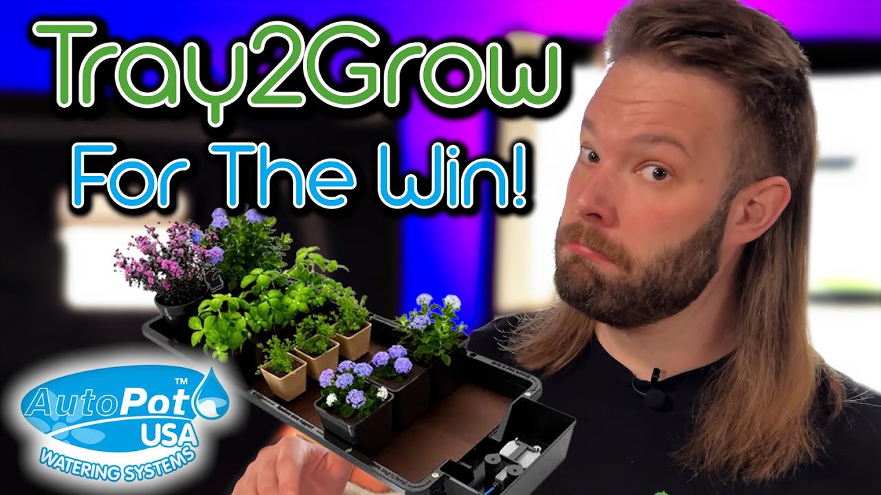Autopot Tray2Grow | Простая настройка и 5 ЛУЧШИХ приемов
