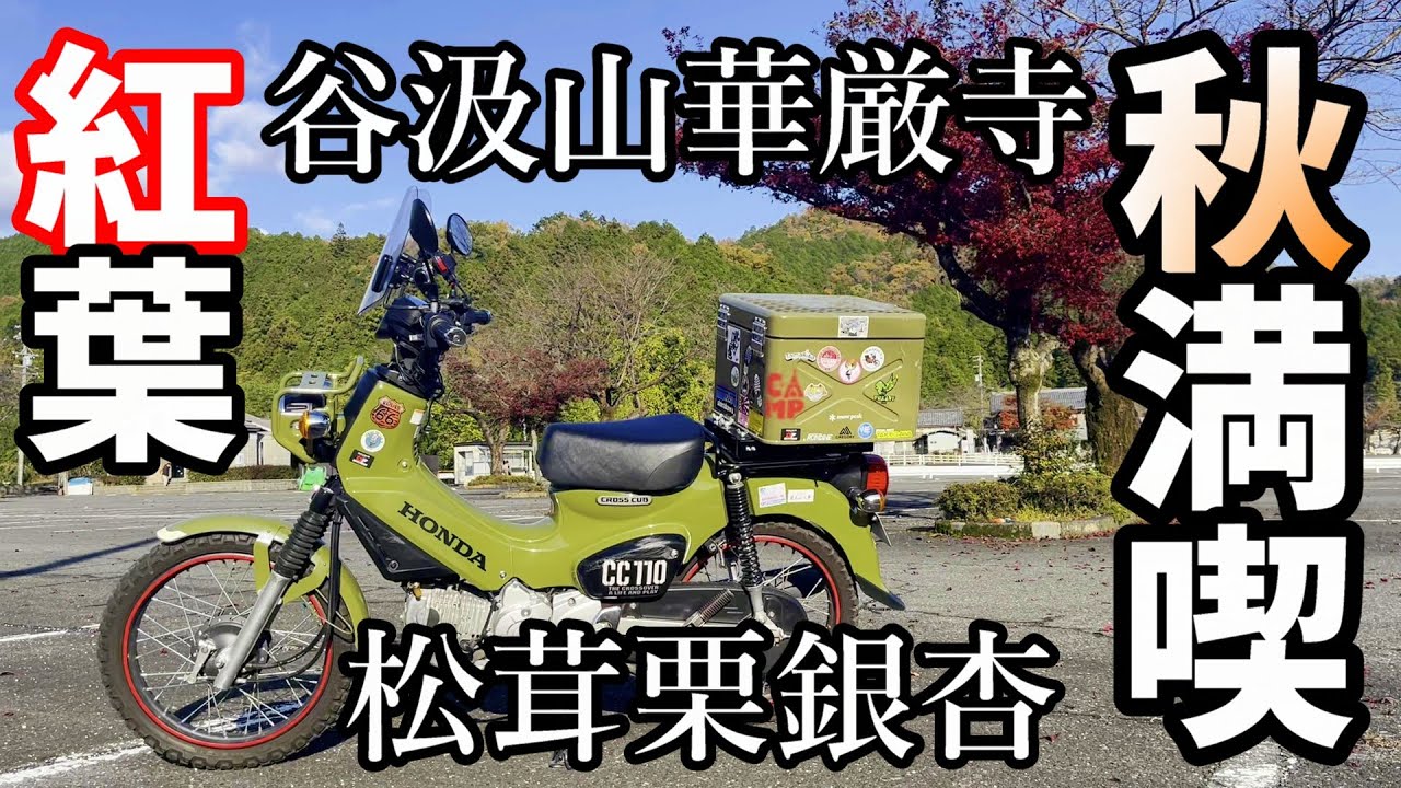 【岐阜秋旅】秋限定の絶景を追いかけて！初めての‶華厳寺”は想像以上だった！