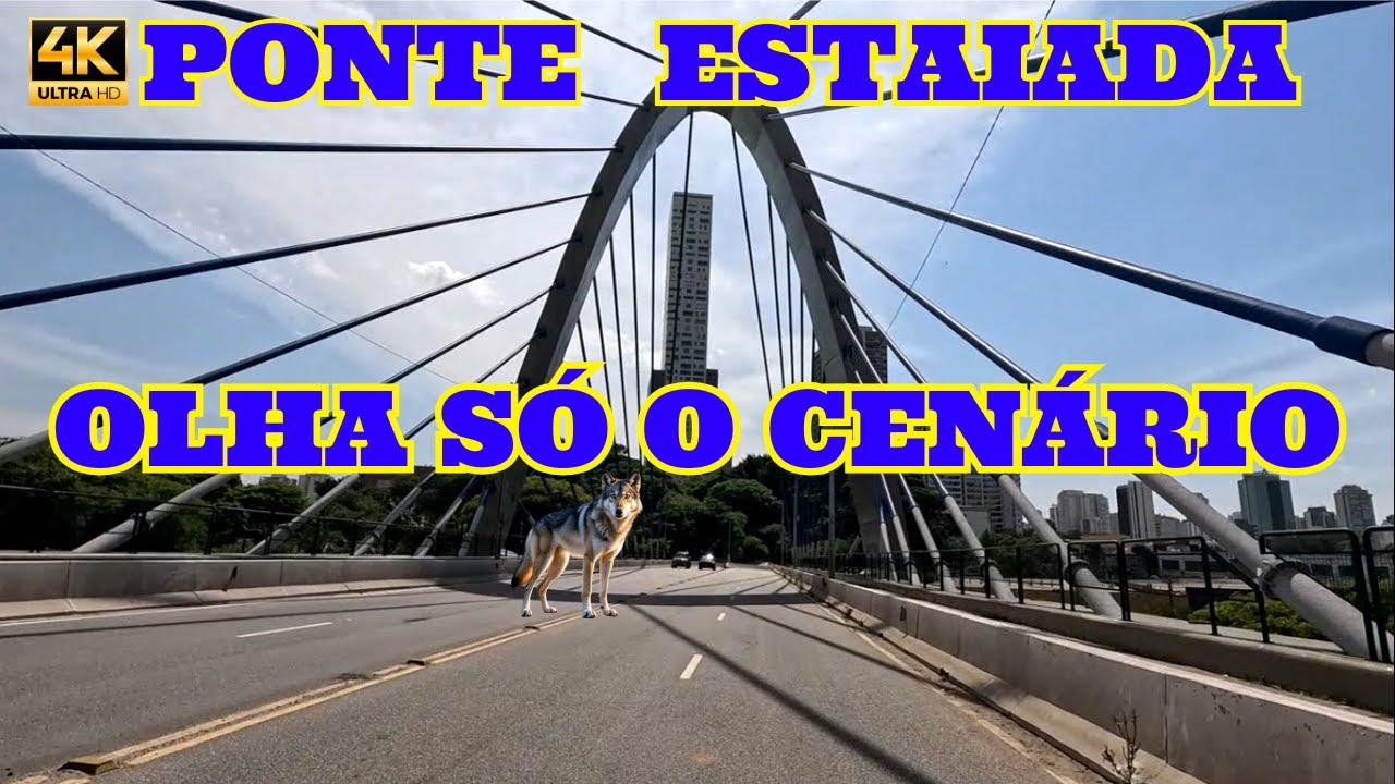 PRÓXIMA COLETA NA RUA BOM SUCESSO - CIDADE MÃE DO CÉU, SÃO PAULO - SP, CEP O3305-000