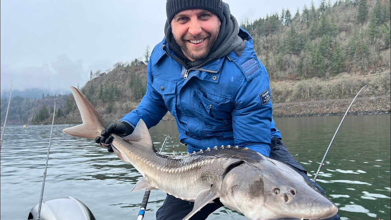 Sturgeon Fishing the Columbia River Bonneville Jan 3 2024