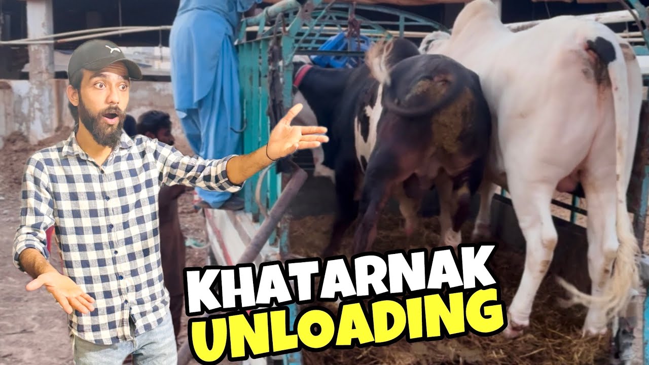 Bachra Out of Control Hogaya😱 | Beautiful New Entries♥️ 