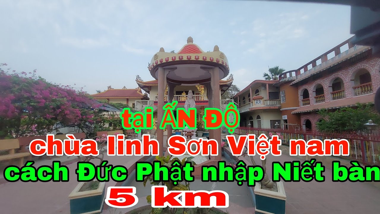 Quá tuyệt vời tại ẤN ĐỘ chùa linh sơn Việt nam cách Đức Phật nhập niết bàn 5km