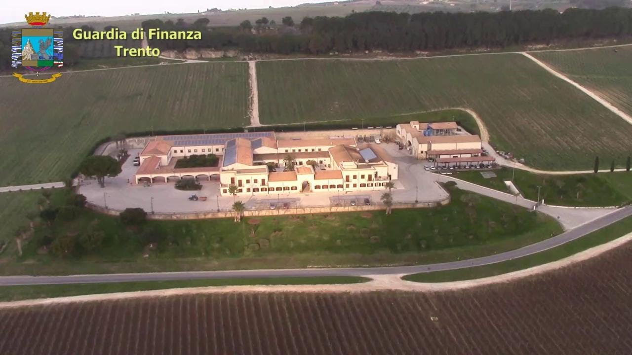 Sequestrati vigneti di 