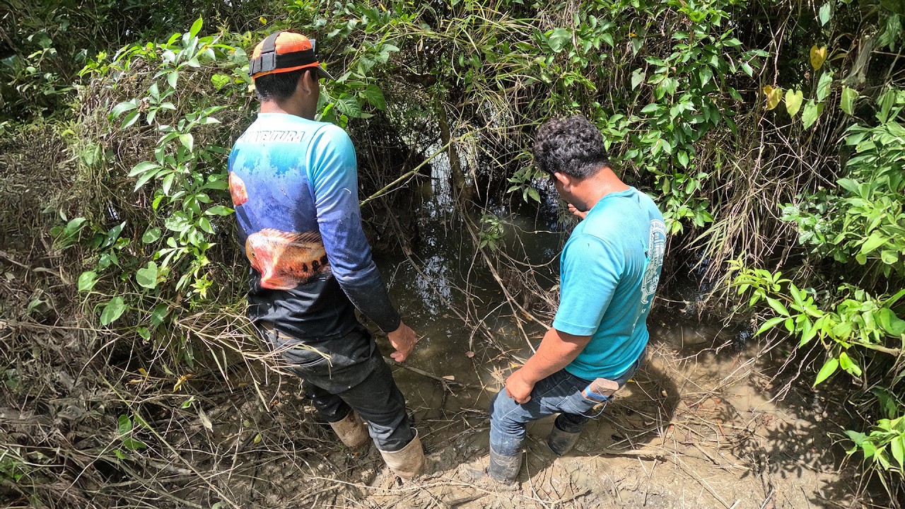 Pesca y cocina buscando guapotes en un rio muy fangoso