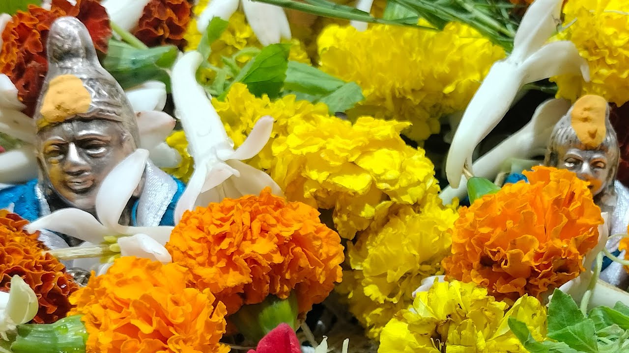 Satabdi Mandal is live hare Krishna Radhe Radhe friends 🙏