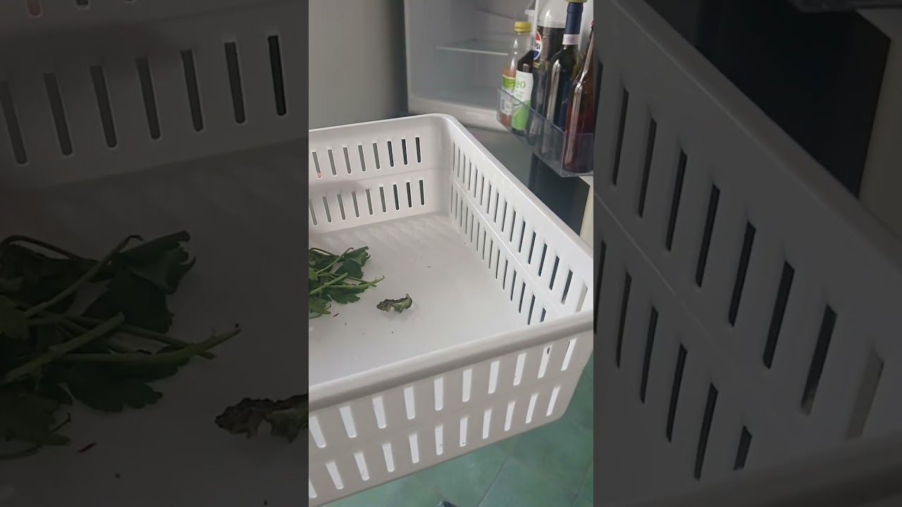 La pulizia del mio frigo 