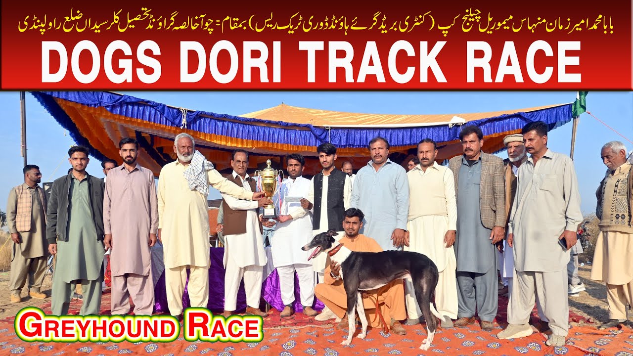 Dogs Race | Dori Track Race | Final | Choha Khalsa Rawalpindi 01-12-2025 #dog #greyhound #animals