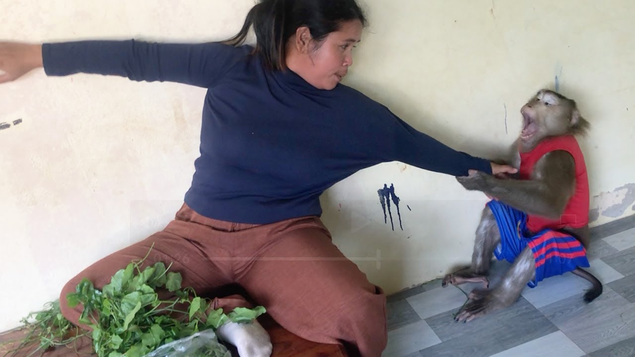 Little Jason Pull Hand Mom Provoke When Lazy Help In House Chores