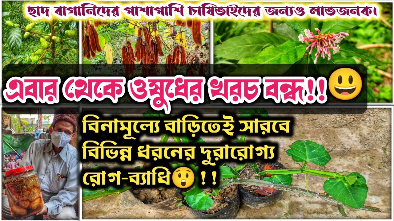 পশ্চিমবঙ্গের মধ্যে সম্ভবত সর্ববৃহৎ ভেষজ উদ্ভিদের সম্ভারে সমৃদ্ধ  এক নার্সারি  Nature Pod Nursery.