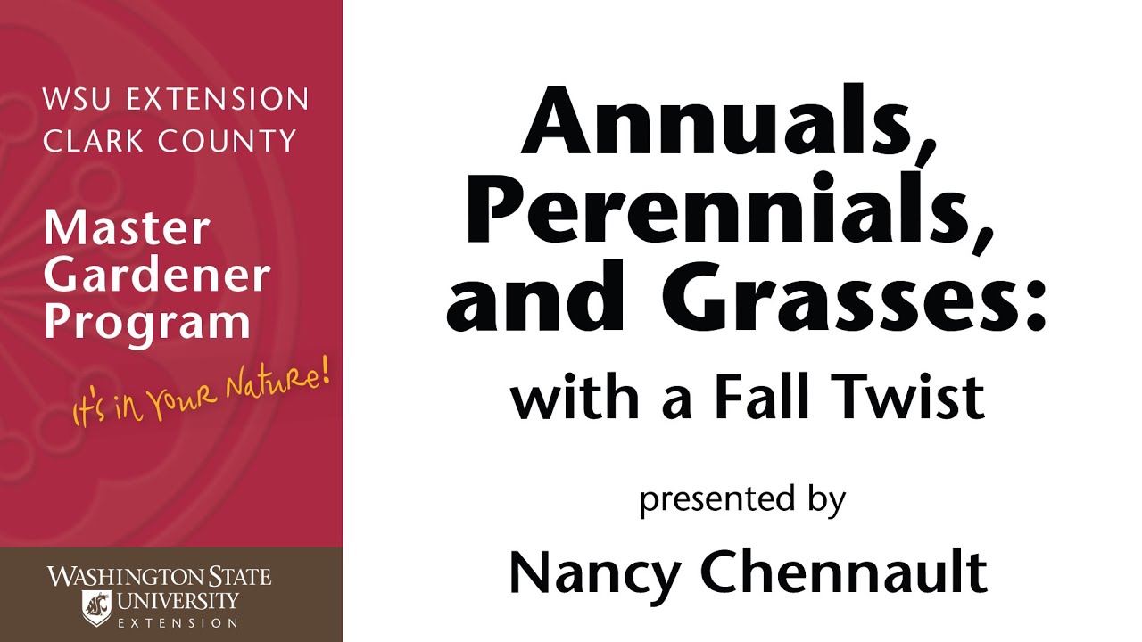 Annuals, Perennials, and Grasses with a Fall Twist