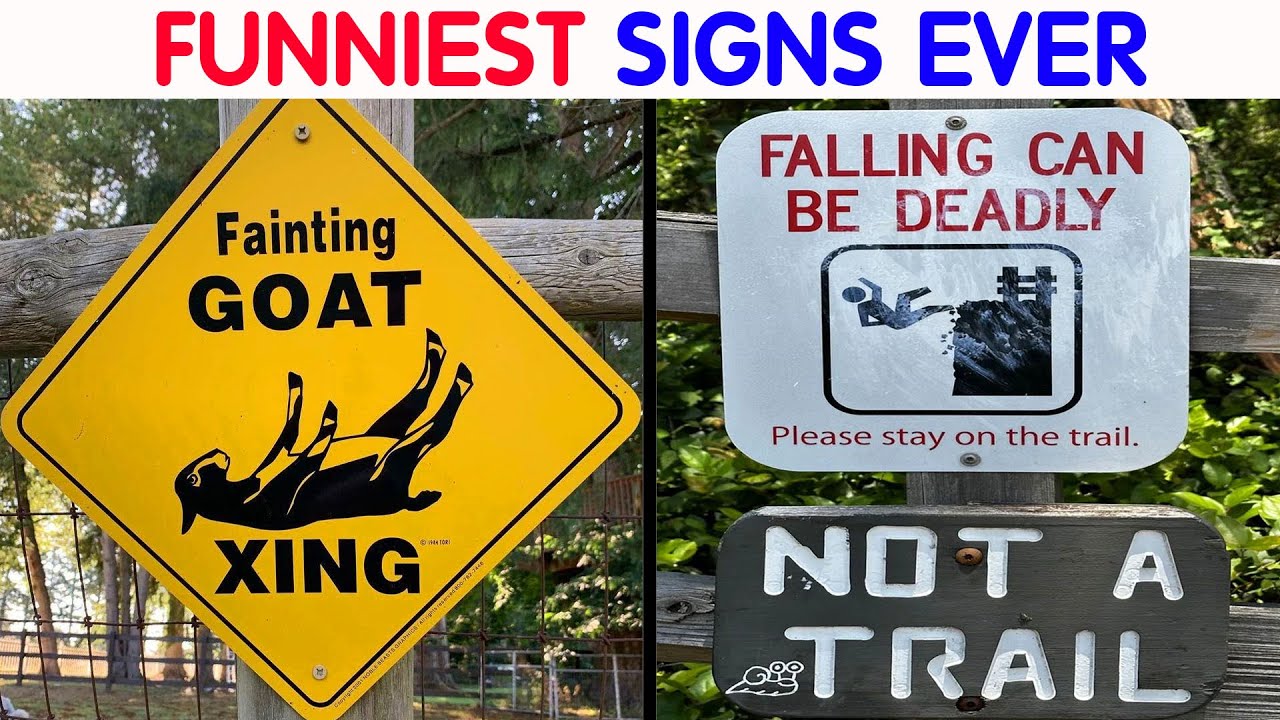 Absolutely Dumb Signs For Those In Need Of A Good Laugh #49