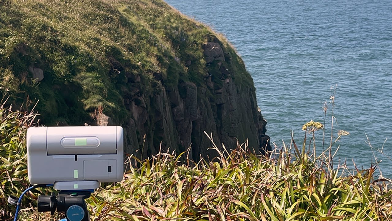 Sea Birds with the Dwarf II Smart Telescope