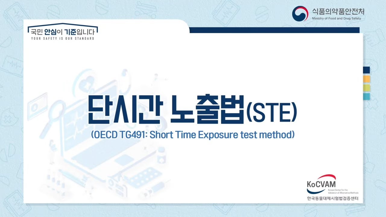 화장품 등 안전성평가를 위한 안자극 동물대체시험법 「단시간 노출법(STE)」(OECD TG491)