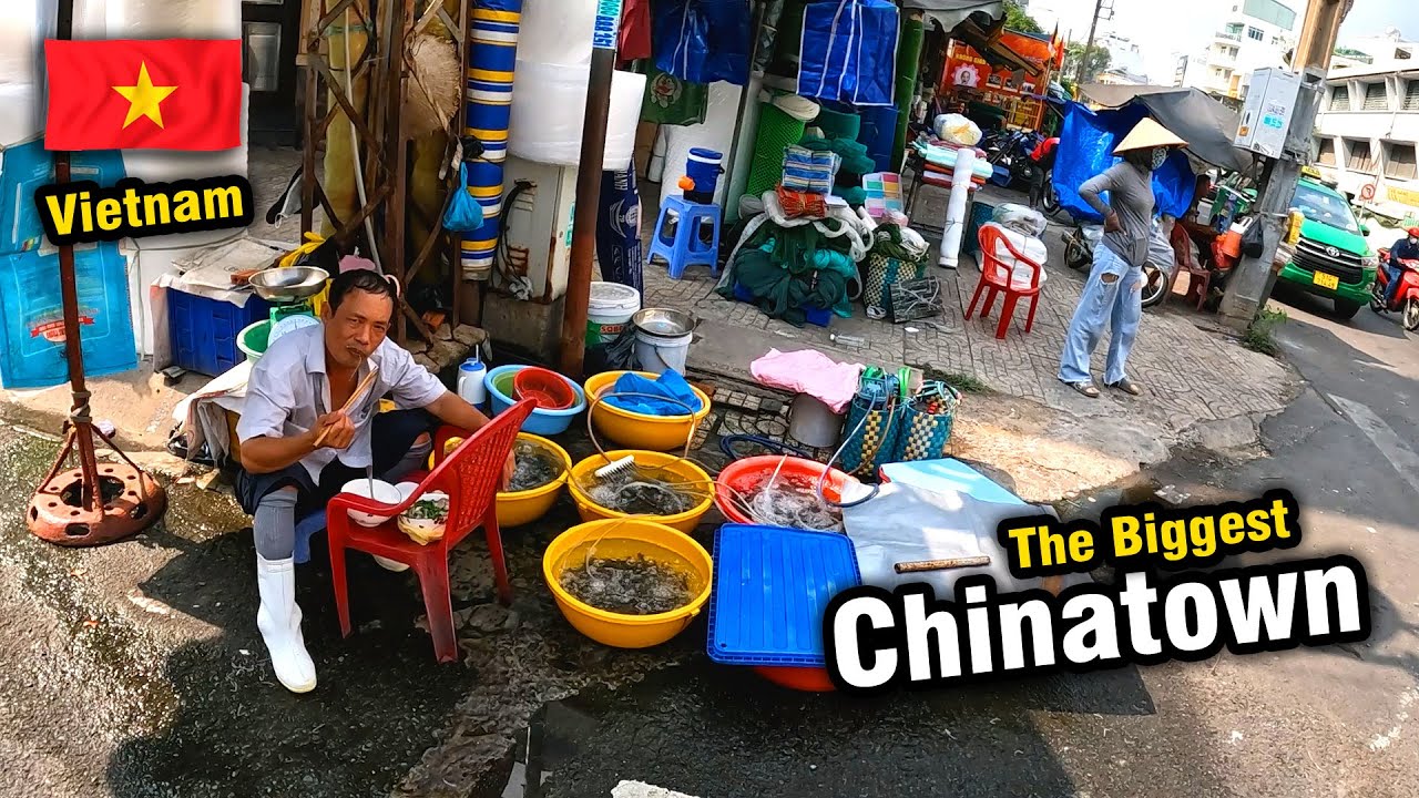 Exploring the biggest Chinatown in Vietnam 🇻🇳 Cholon city