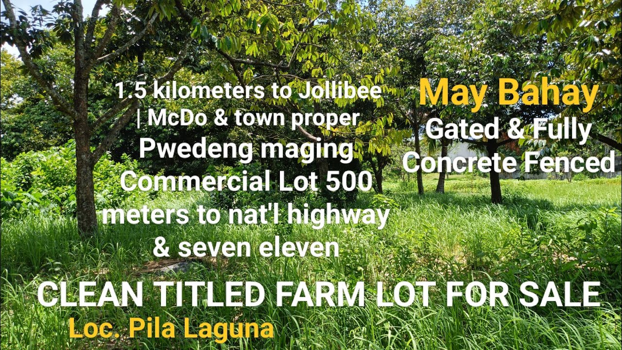 #Vlog300 FARM LOT CLEAN TITLED W/HOUSE | COMMERCIAL LOT AREA | NEAR NAT'L HIGHWAY PILA LAGUNA