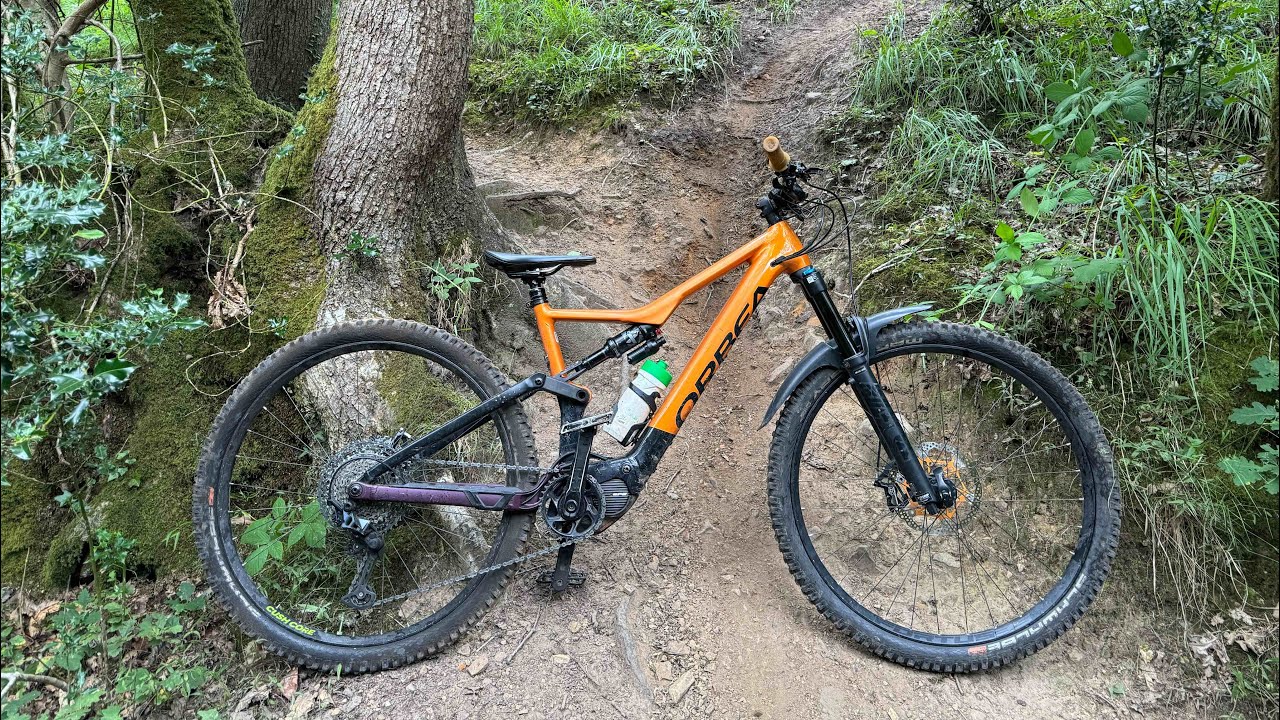 Local laps - clyne woods