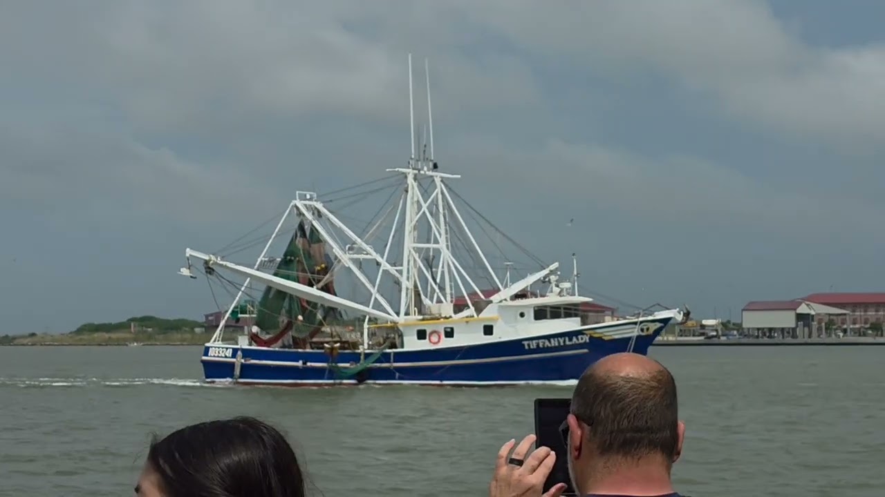 Historic Harbor Tour and Dolphin watch on Galveston bay