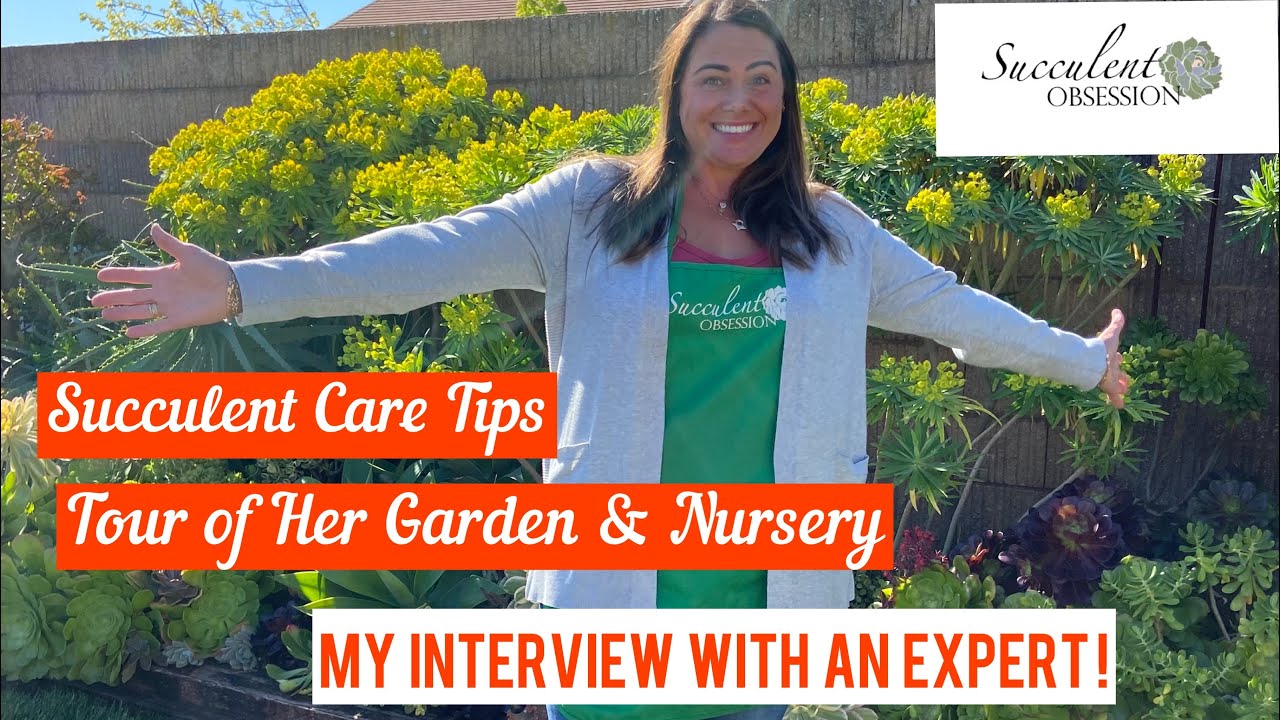 Part 1: SUCCULENT CARE TIPS plus a TOUR of Home Garden and Nursery with Succulent OBSESSION