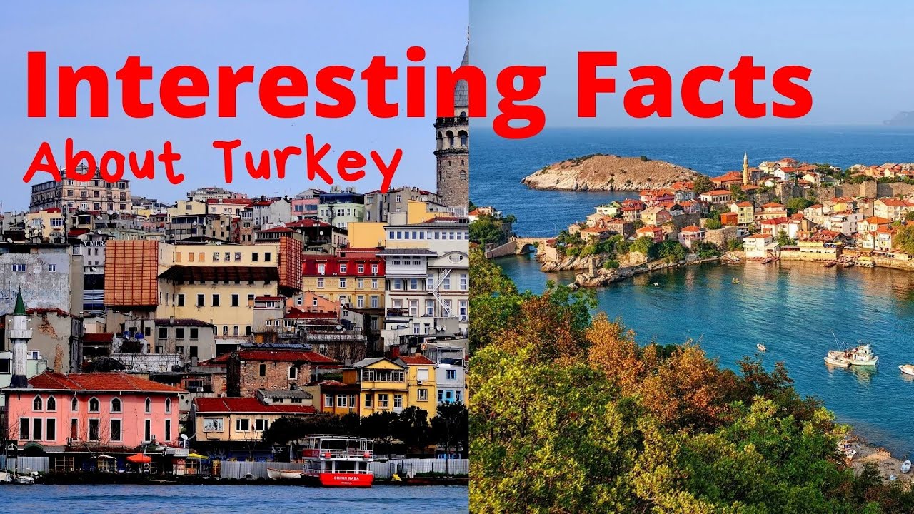 Turkey Facts For Kids