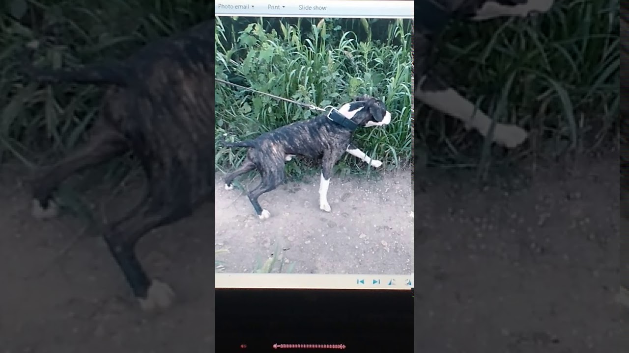 Пора начинать уборку мусора!