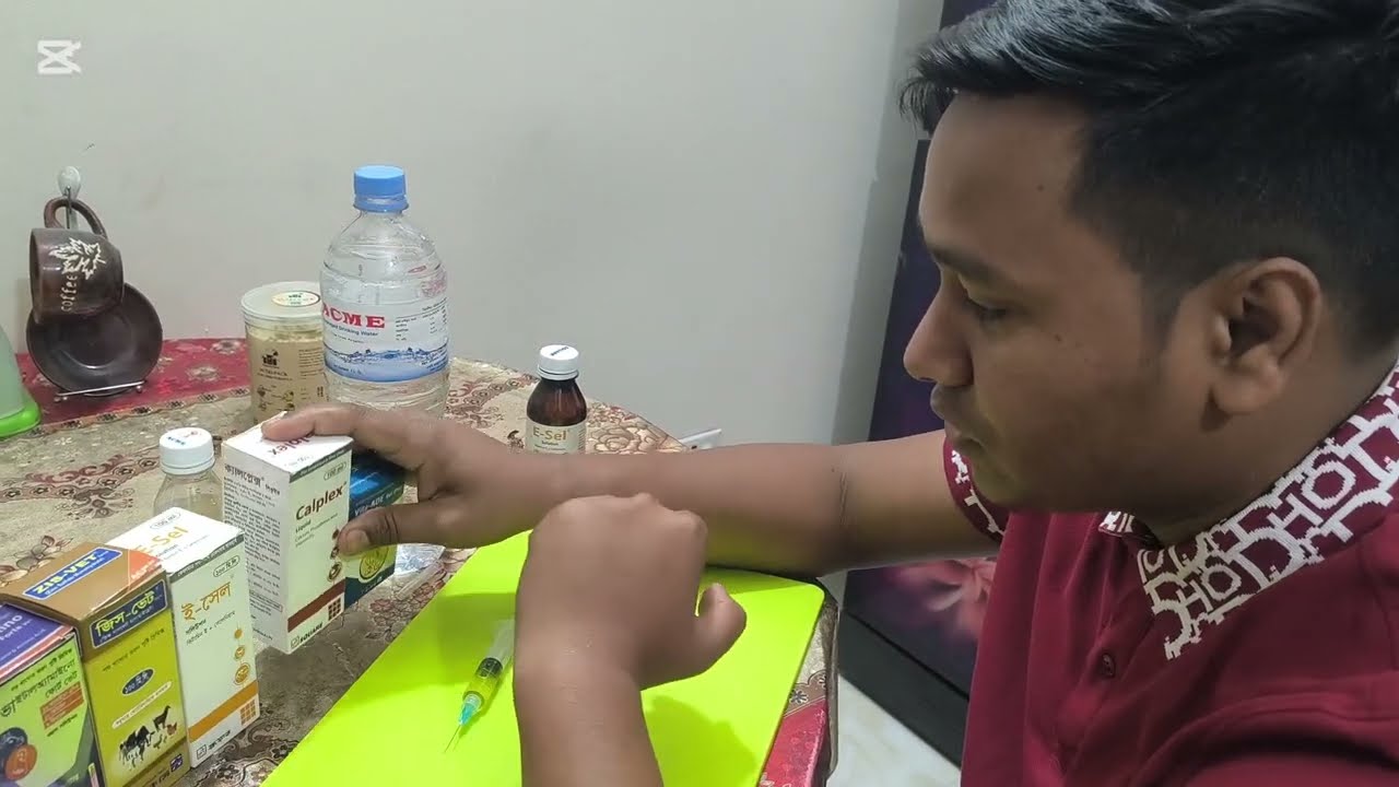 ব্রিডিং কোর্স যেভাবে করবেন!! তা দেখতে সম্পূর্ণ ভিডিওটি দেখুন! 🐦