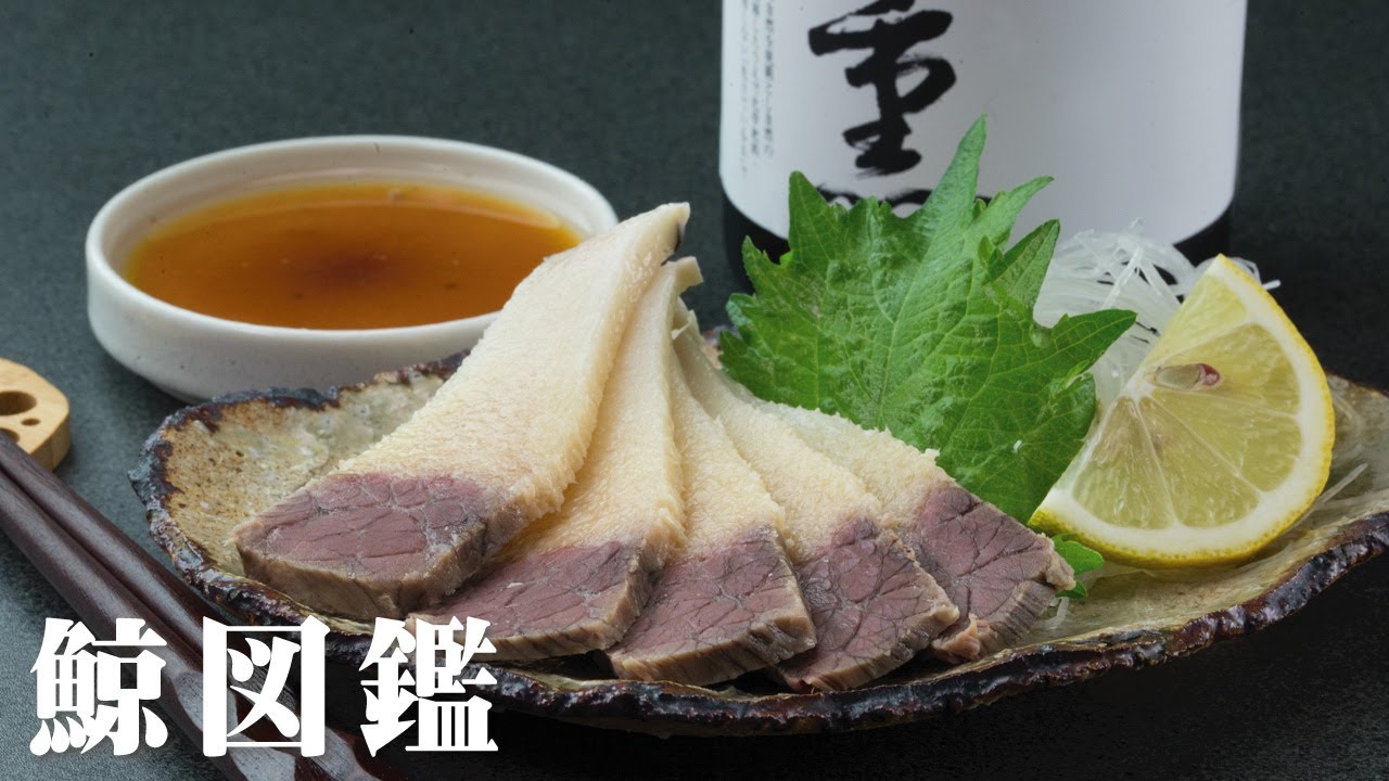 鯨図鑑：くじらの肉の部位をズラリご案内