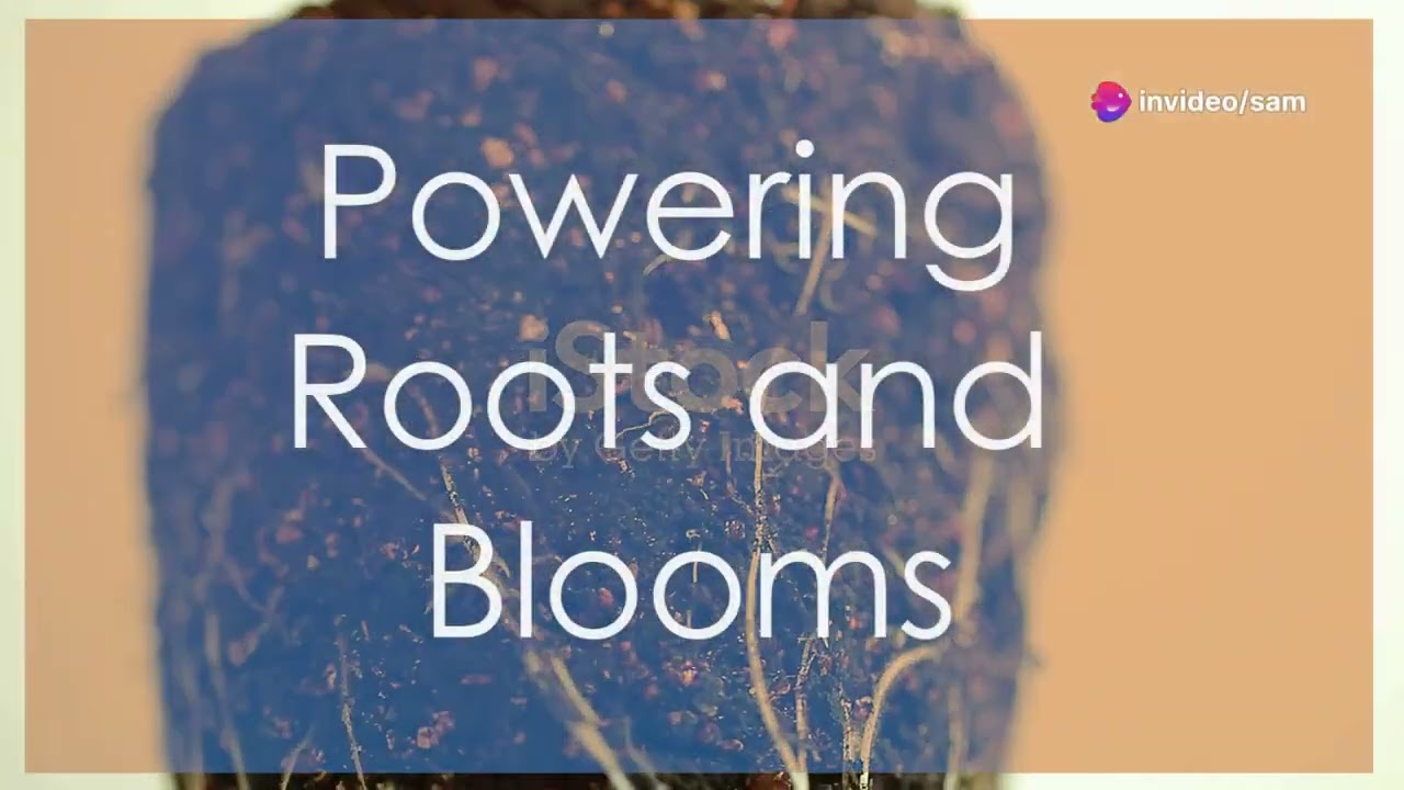 Why your cannabis plants need nutrition's grow healthy strong plants