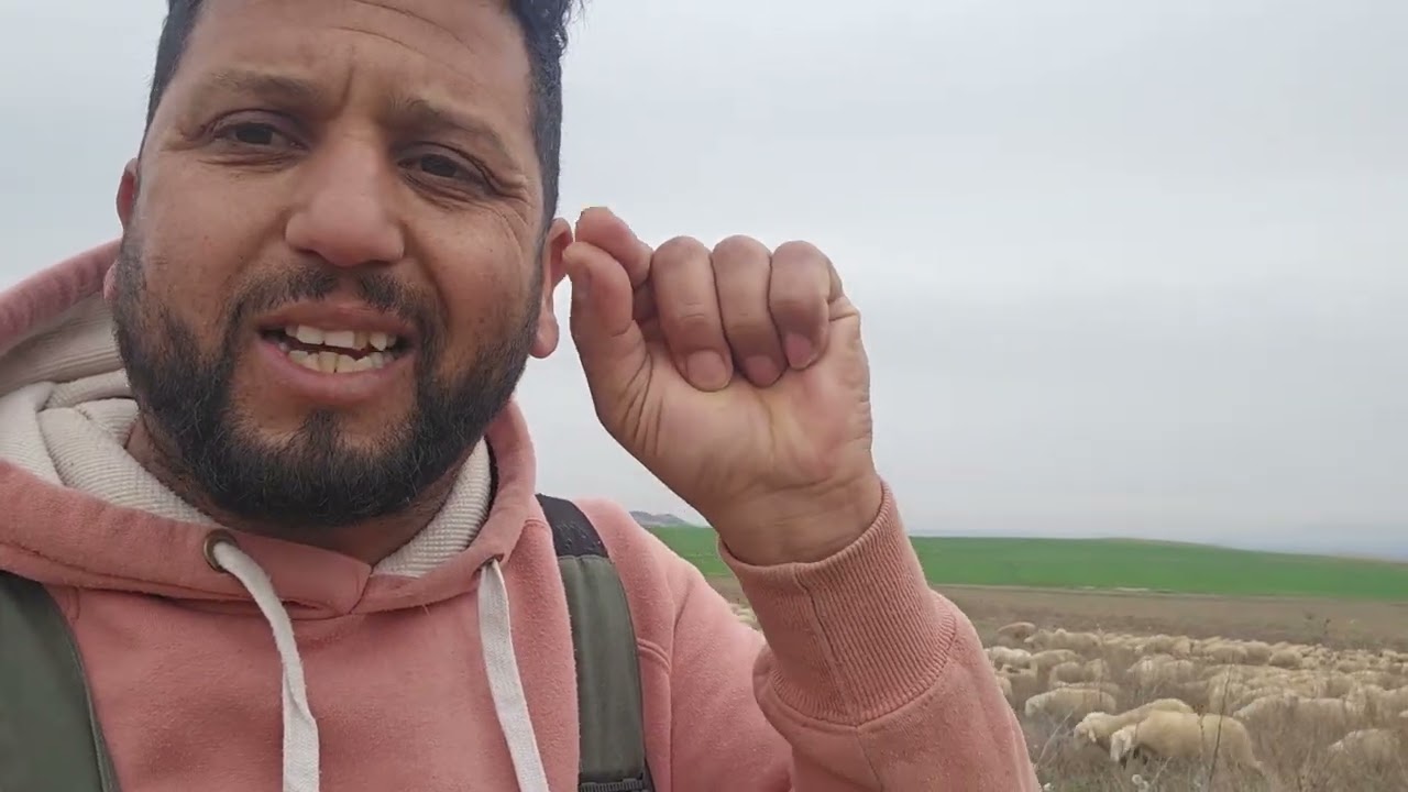 لا عزاء للحقدين اسمع الخروف دياب العيد في اسبانيا والحقد والحسد كارثة 