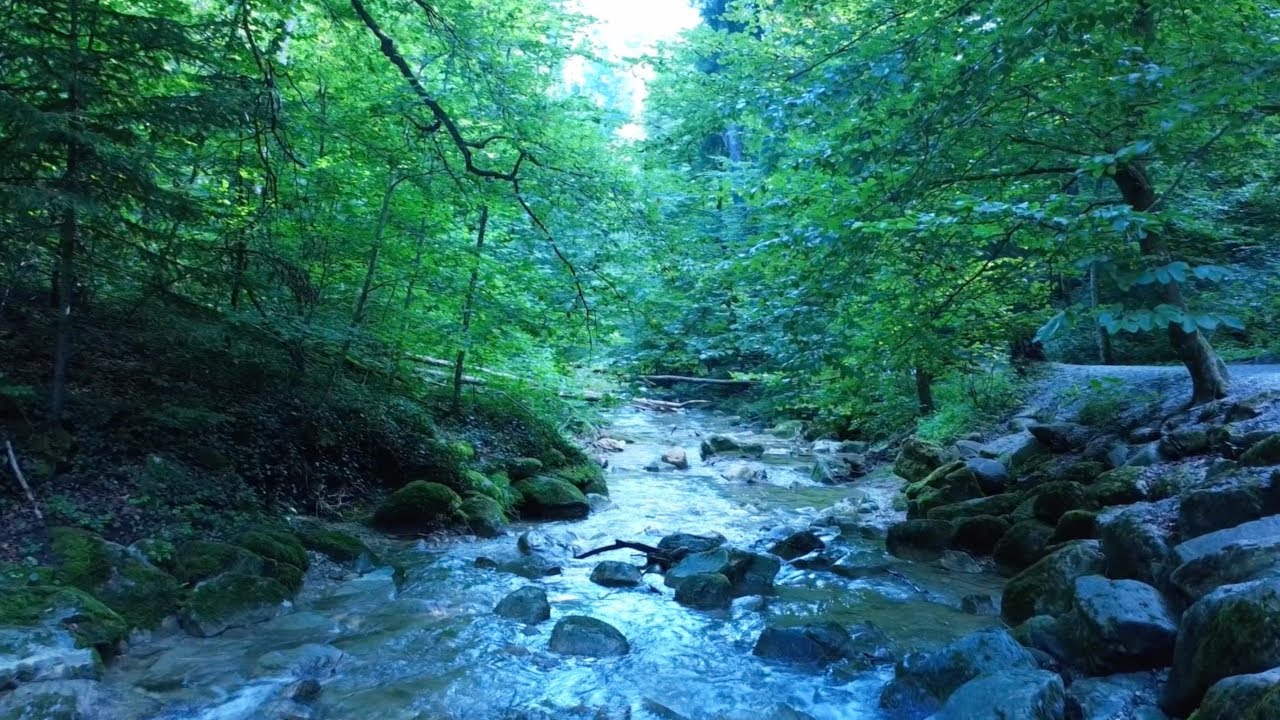 Water